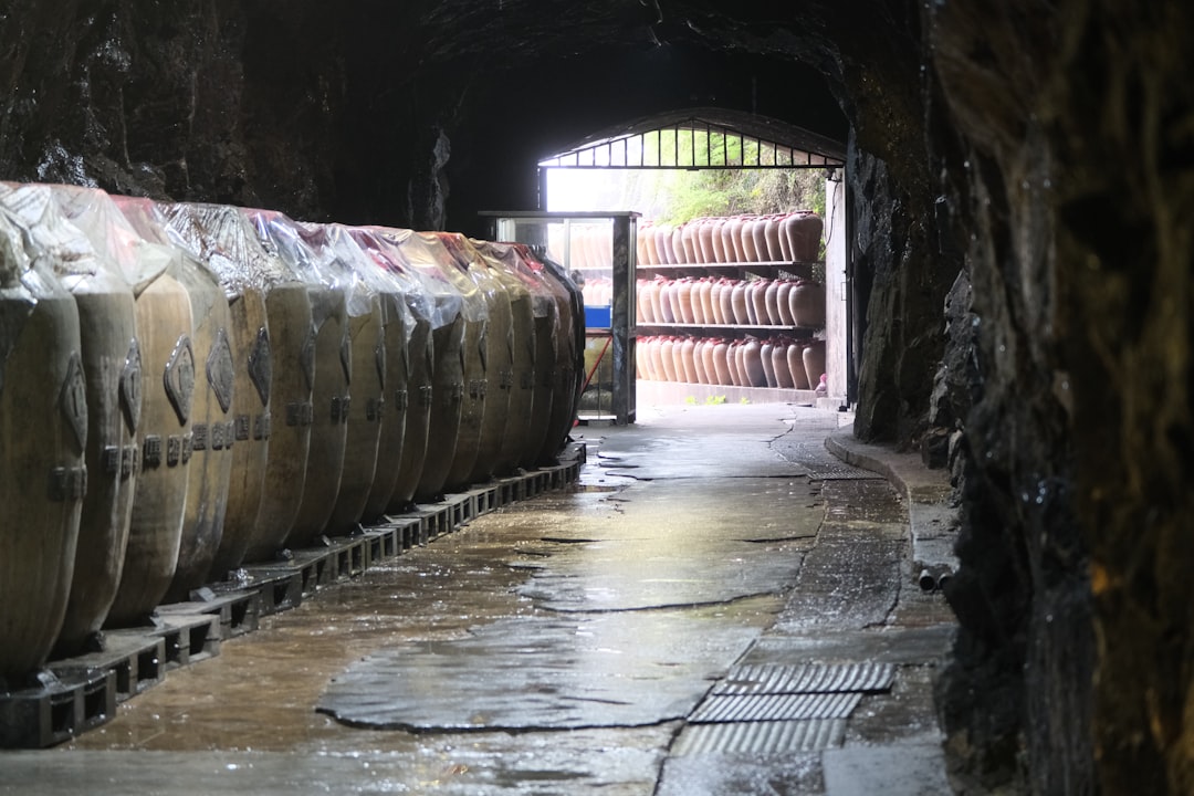 Korzyści kwaszenia: zdrowotne właściwości fermentacji.